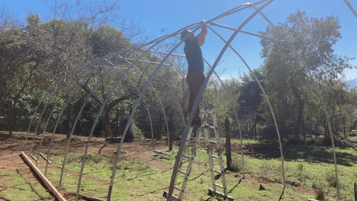 Montaje de los arcos del invernadero sobre el terreno