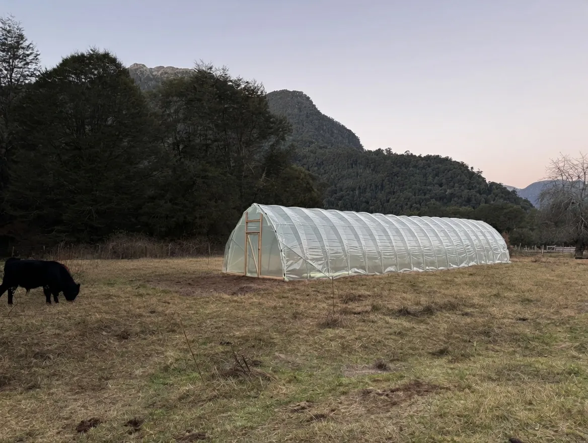Invernadero Huerto Rentable en terreno