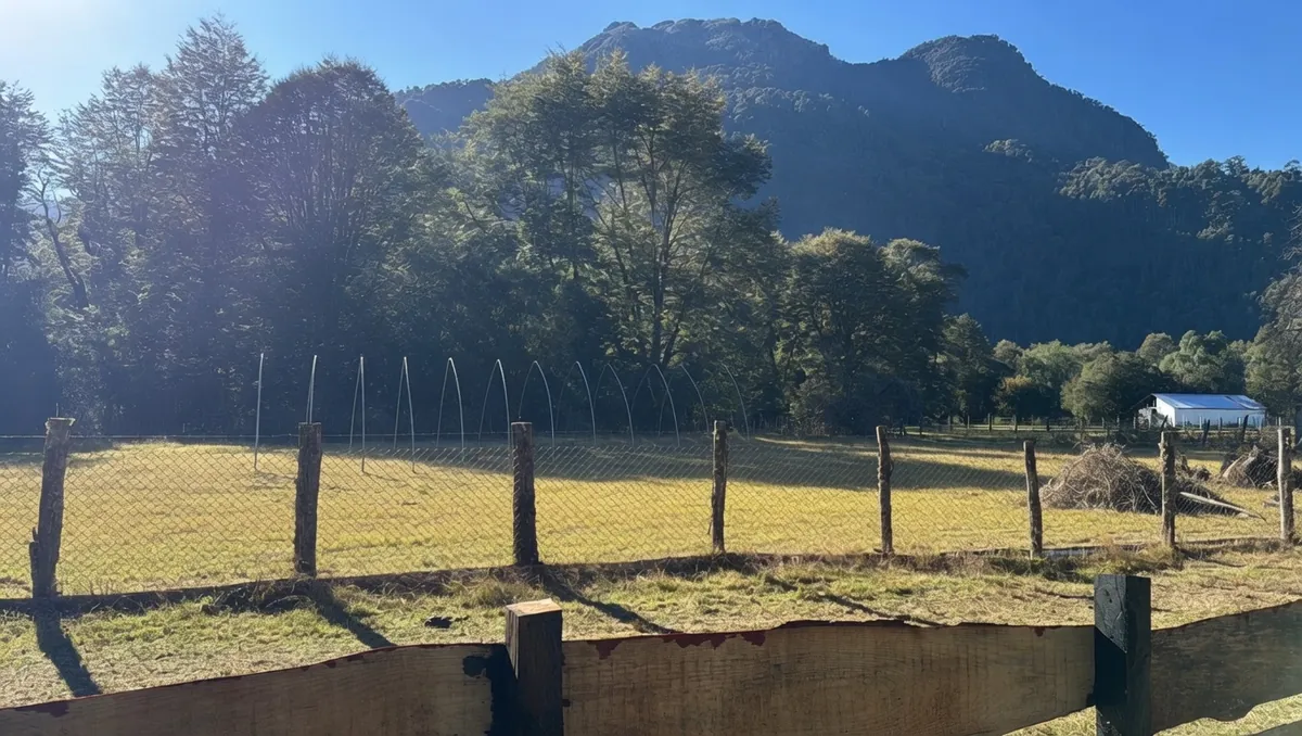 Trabajo de instalación y manejo en terreno con el productor